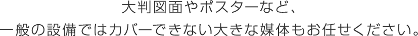 大判図面やポスターなど、一般の設備ではカバーできない大きな媒体もお任せください。