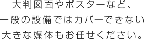 大判図面やポスターなど、一般の設備ではカバーできない大きな媒体もお任せください。